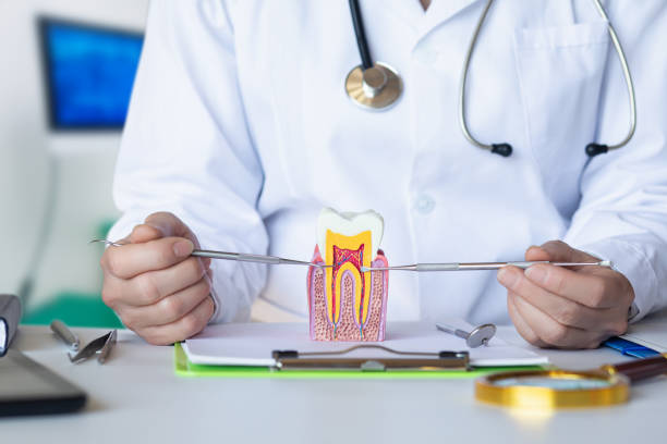 Best Emergency Denture Repair in Ramsey, NJ
